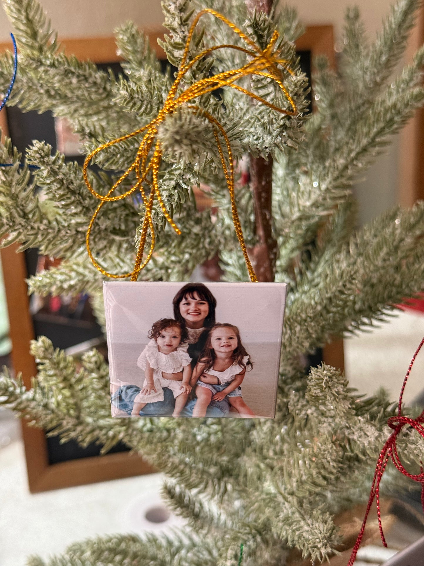Custom Photo Magnet Ornaments