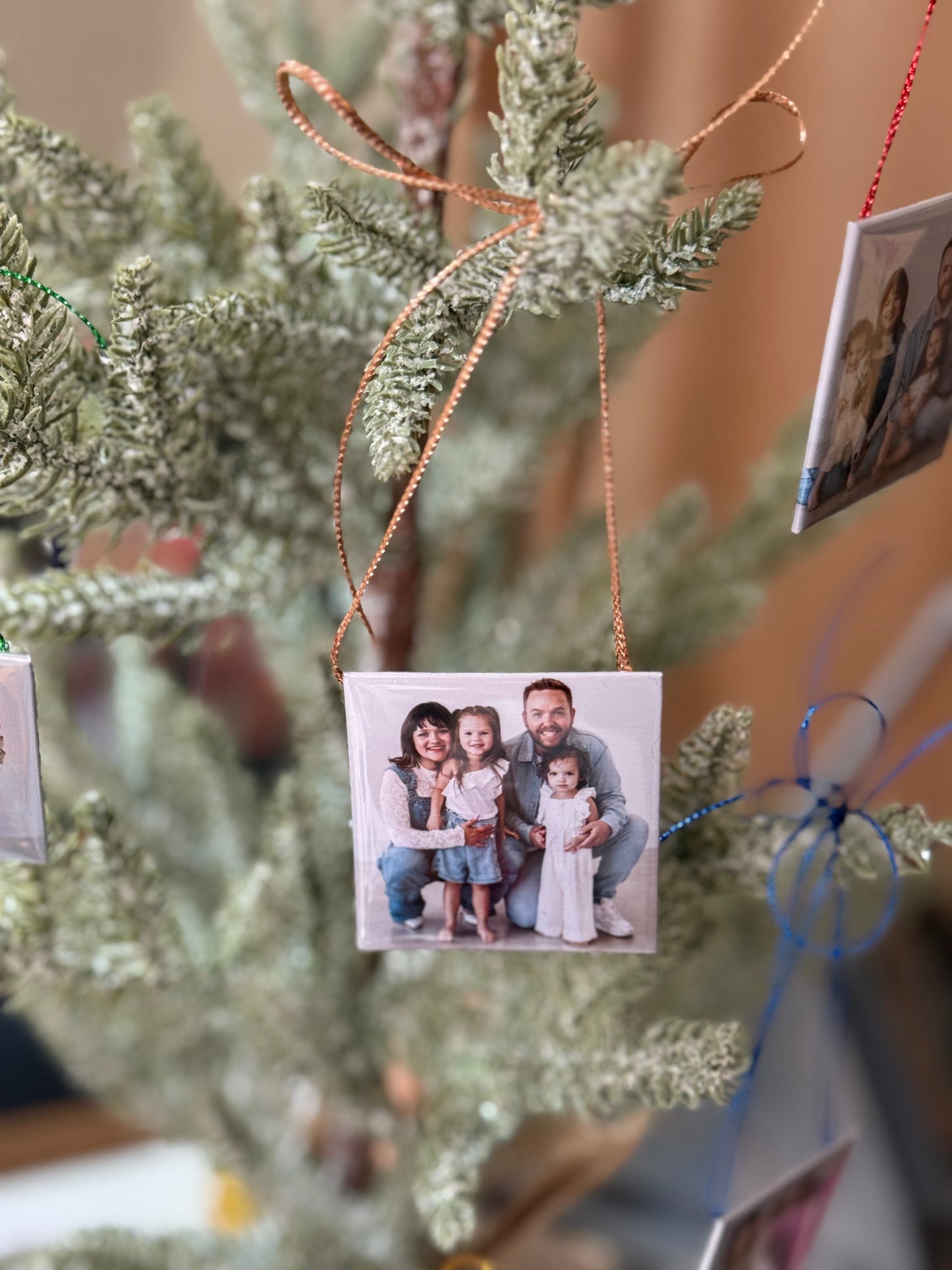 Custom Photo Magnet Ornaments