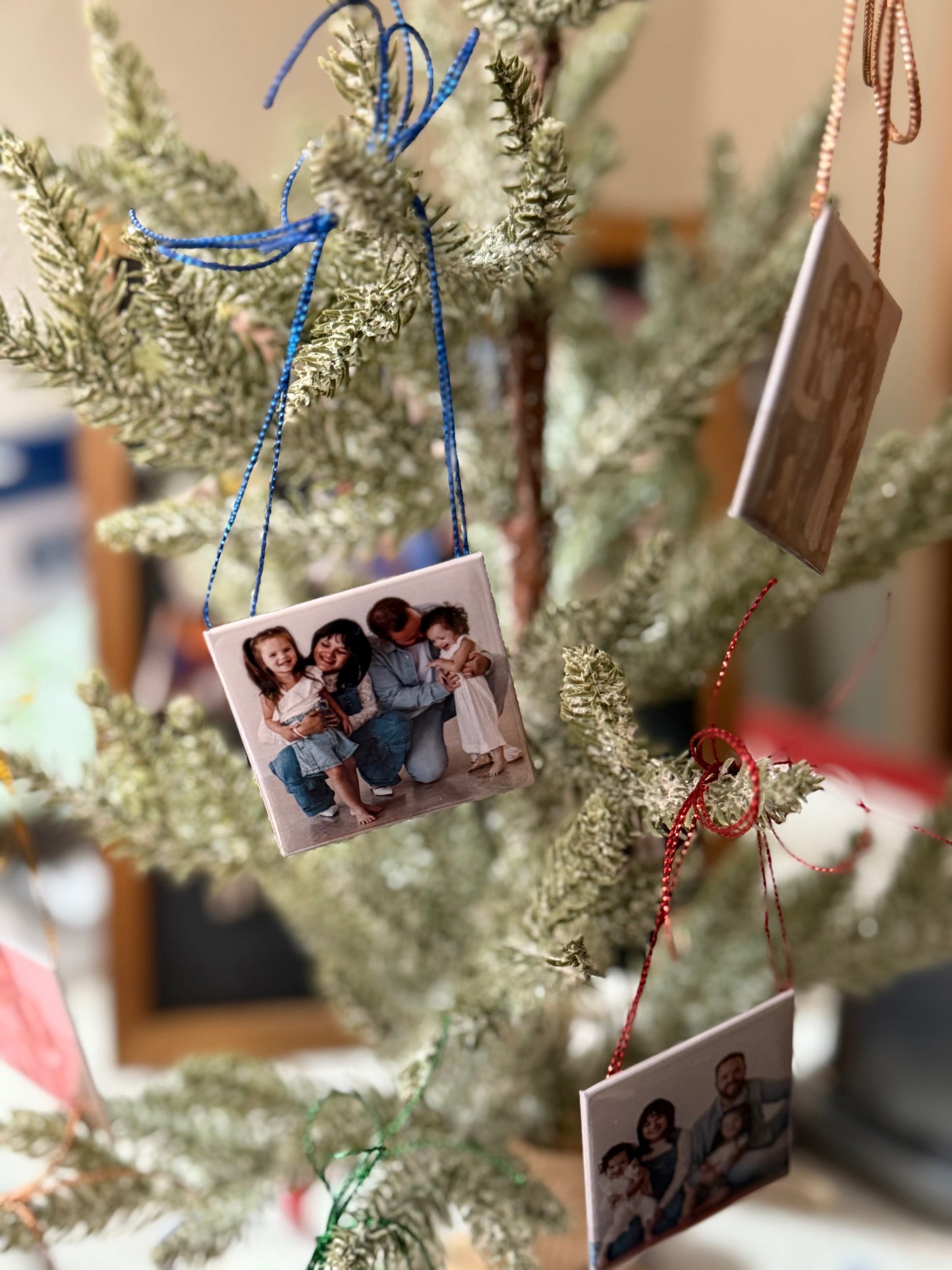 Custom Photo Magnet Ornaments